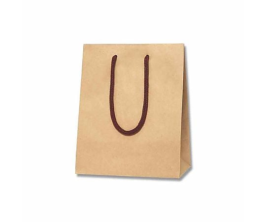 手提げ紙袋　カラーチャームバッグ　20-12　クラフト　10枚