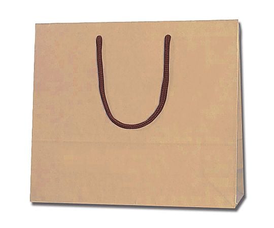 手提げ紙袋　カラーチャームバッグ　3才　クラフト　10枚