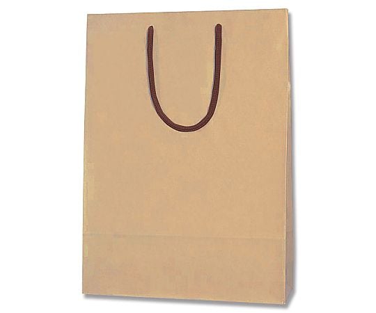 手提げ紙袋　カラーチャームバッグ　2才　クラフト　10枚