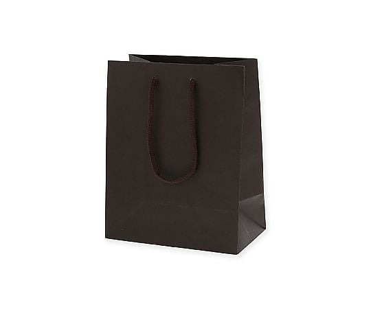 手提げ紙袋　カラーチャームバッグ　20-12　ブラウン　10枚