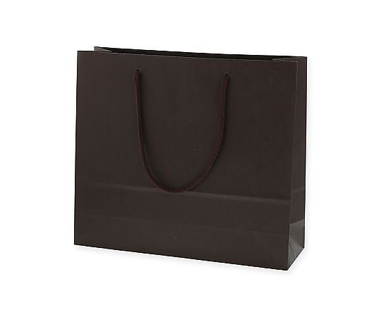 手提げ紙袋　カラーチャームバッグ　3才　ブラウン　10枚