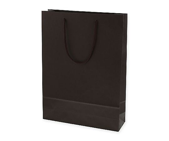 手提げ紙袋　カラーチャームバッグ　2才　ブラウン　10枚