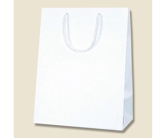 64-0926-09 手提げ紙袋 【超安い】 数々の賞を受賞 Kバッグ T-6 10枚 白エンボス 006145202