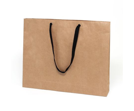 64 0926 手提げ紙袋 ファッションバッグ L 未晒無地 10枚 Axel アズワン