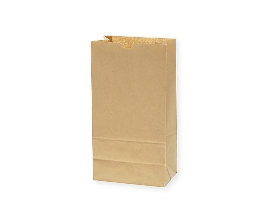 角底袋　No.6　未晒無地　100枚