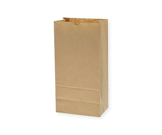 角底袋　No.12　未晒無地　100枚