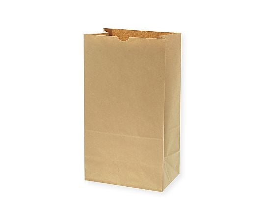 角底袋　No.14　未晒無地　100枚