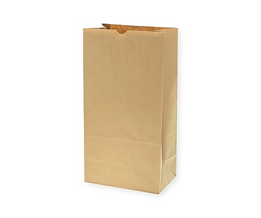 角底袋　No.20　未晒無地　100枚