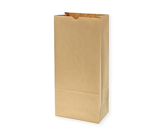 角底袋　No.25　未晒無地　100枚