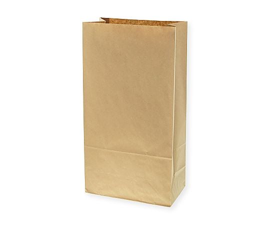 角底袋　LL　未晒無地　100枚