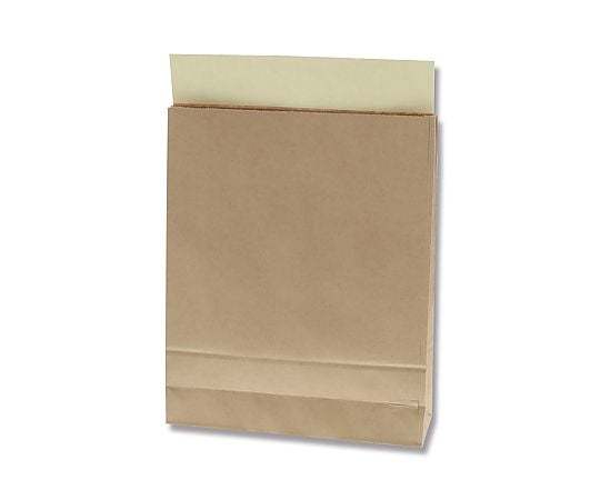 宅配袋　S　未晒無地　25枚