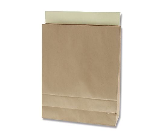 宅配袋　L　未晒無地　25枚