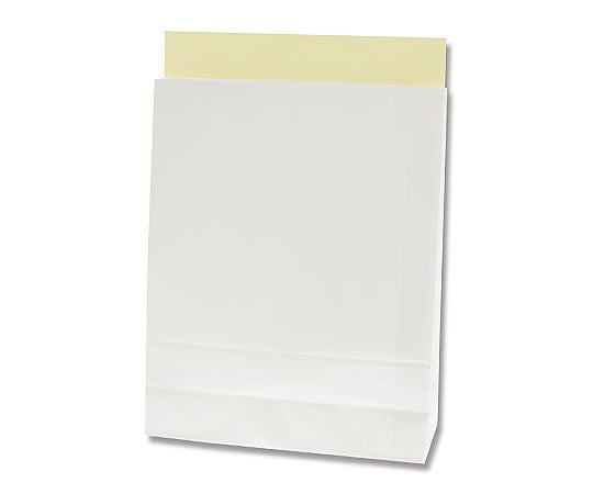 宅配袋　L　白無地　25枚