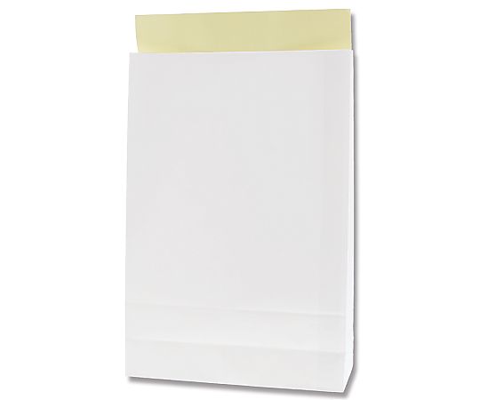 宅配袋　LL　白無地　25枚