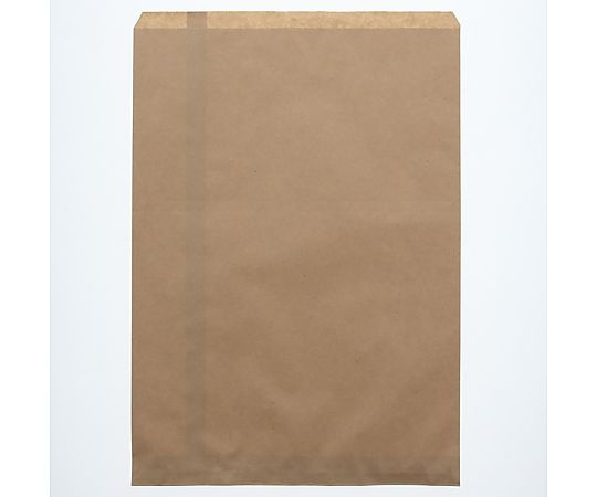 平袋　柄小袋　Rタイプ　R-0　未晒無地　200枚