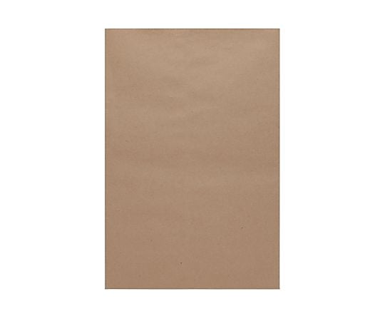 平袋　柄小袋　ストレートタイプ　S　未晒無地　20枚