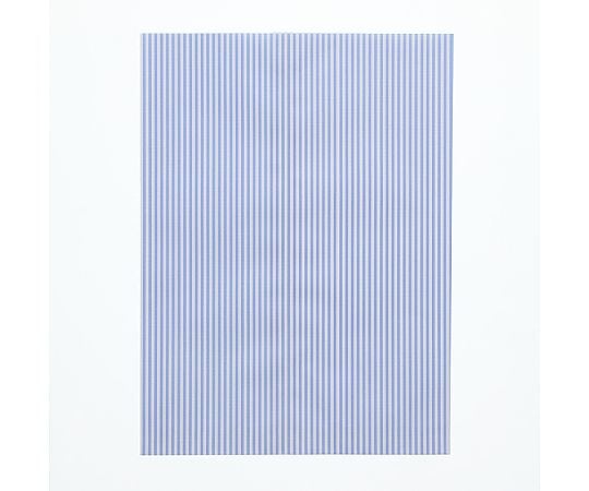 平袋　柄小袋　ストレートタイプ　8才　モノストライプ　B　100枚