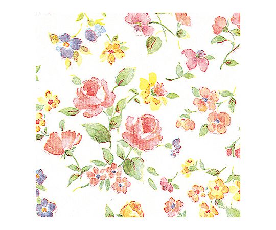 包装紙　半才　ロマネスク　100枚