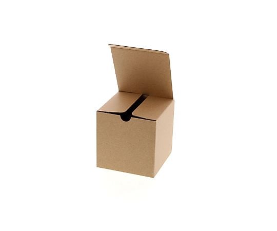 ナチュラルボックス　Z-1　無地　10枚