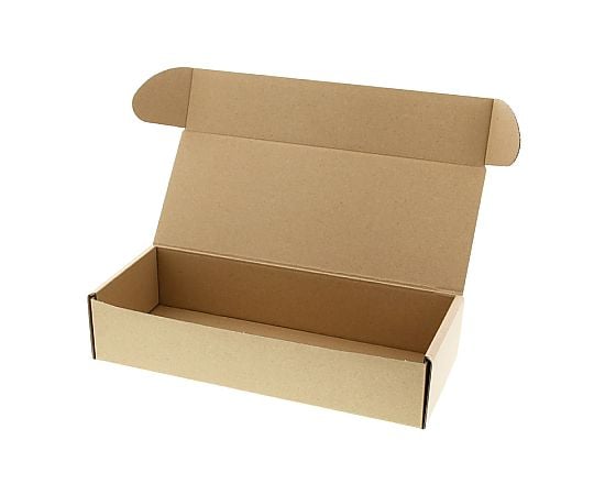 ナチュラルボックス　Z-10　無地　10枚