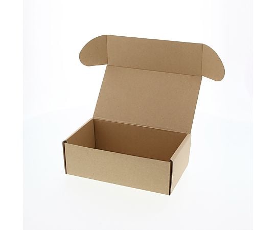 ナチュラルボックス　Z-11　無地　10枚