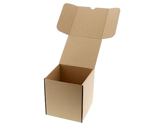 ナチュラルボックス　Z-28　CD10枚収納　無地　10枚