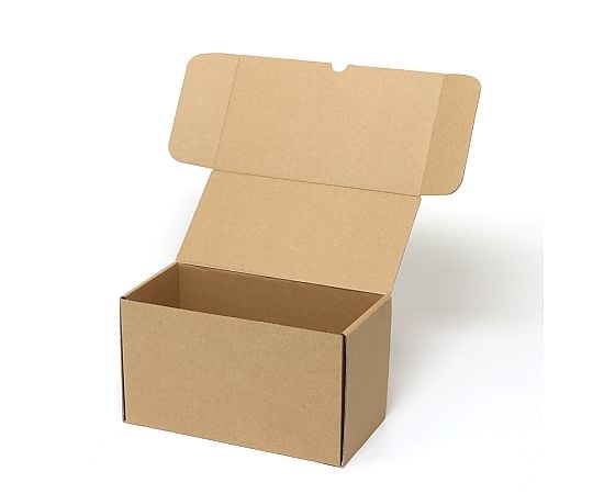 ナチュラルボックス　Z-29　CD20枚収納　無地　10枚