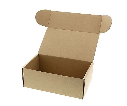 ナチュラルボックス　Z-3　無地　10枚