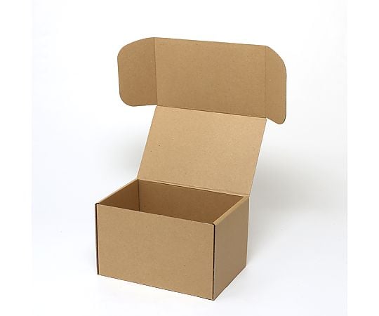 ナチュラルボックス　Z-13　無地　10枚