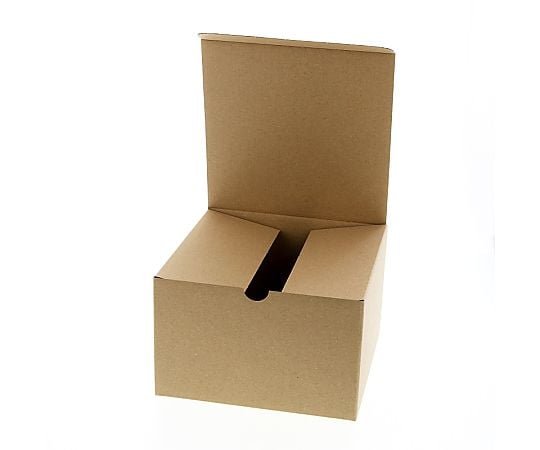 ナチュラルボックス　Z-2　無地　10枚