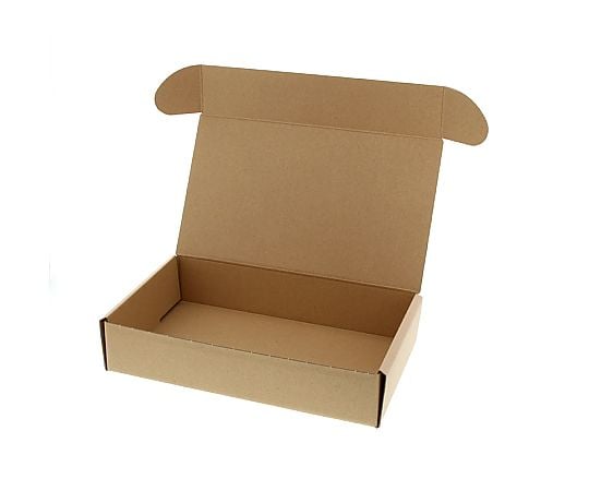 ナチュラルボックス　Z-14　無地　10枚