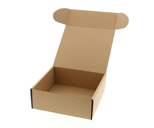 ナチュラルボックス　Z-15　無地　10枚