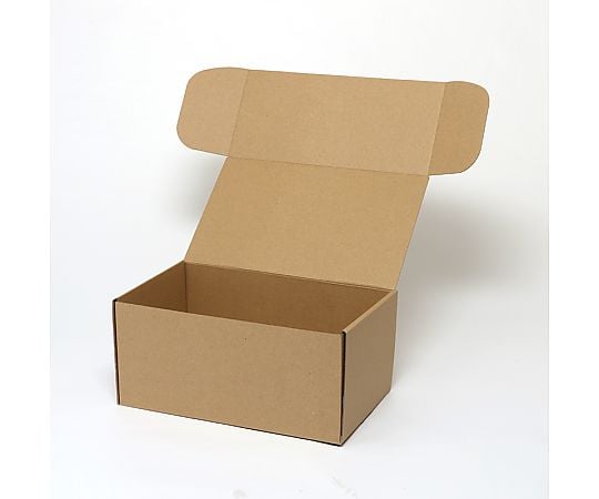 ナチュラルボックス　Z-16　無地　10枚