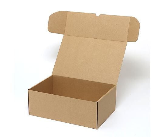 ナチュラルボックス　Z-30　ビデオ10本収納　無地　10枚