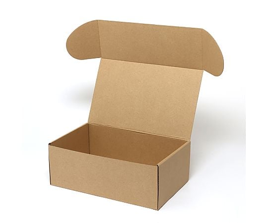 ナチュラルボックス　Z-6　10枚