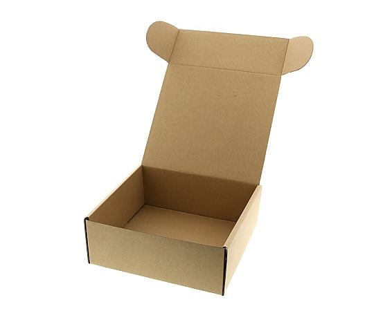 ナチュラルボックス　Z-4　無地　10枚