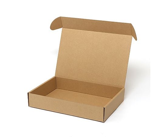 ナチュラルボックス　Z-17　無地　10枚