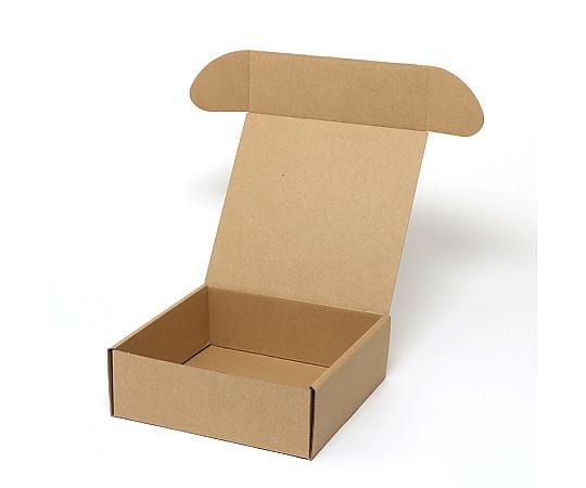 ナチュラルボックス　Z-19　無地　10枚