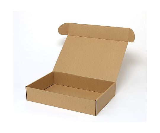 ナチュラルボックス　Z-8　無地　10枚