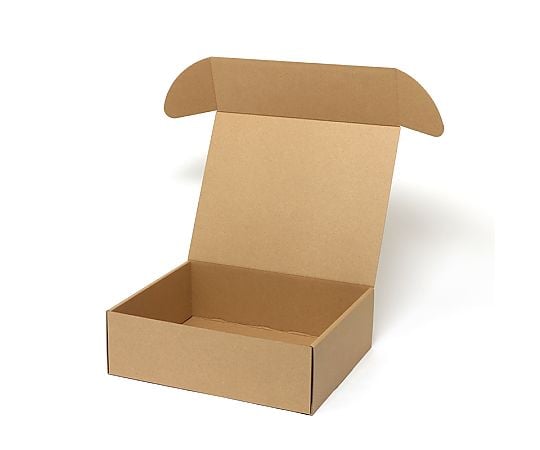 ナチュラルボックス　Z-23　無地　10枚