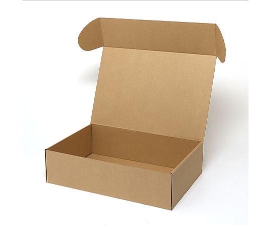 ナチュラルボックス　Z-9　無地　10枚