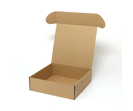 ナチュラルボックス　Z-5　無地　10枚