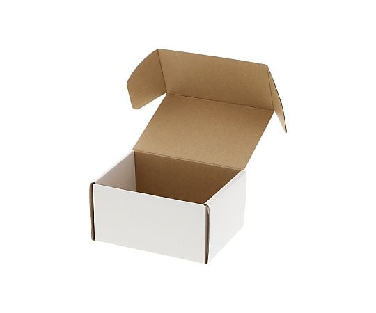 フリーボックス　F-71　白無地　10枚