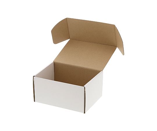 フリーボックス　F-73　白無地　10枚