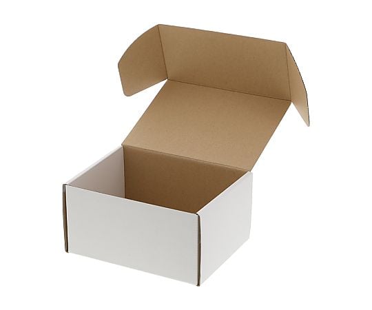 フリーボックス　F-75　白無地　10枚