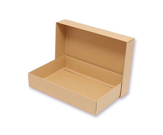 洋品箱　ハンドクラフト　H-6深　10枚