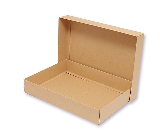 洋品箱　ハンドクラフト　H-21深　10枚