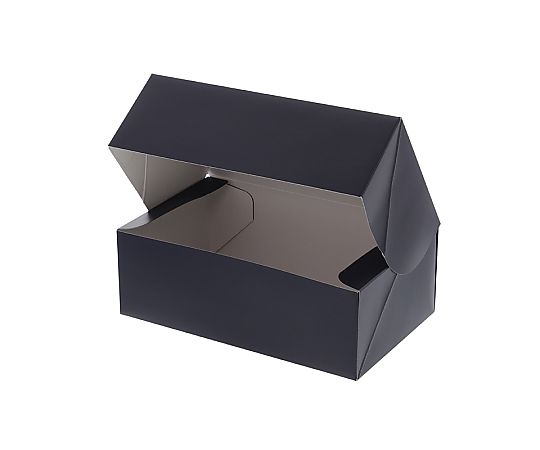 ギフト箱　コンボックス　SF-10　無地　10枚