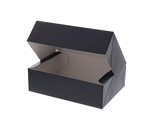 ギフト箱　コンボックス　SF-25　無地　10枚