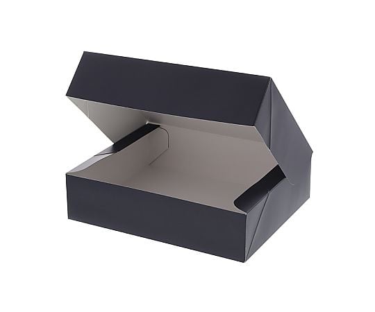 ギフト箱　コンボックス　SF-40　無地　10枚